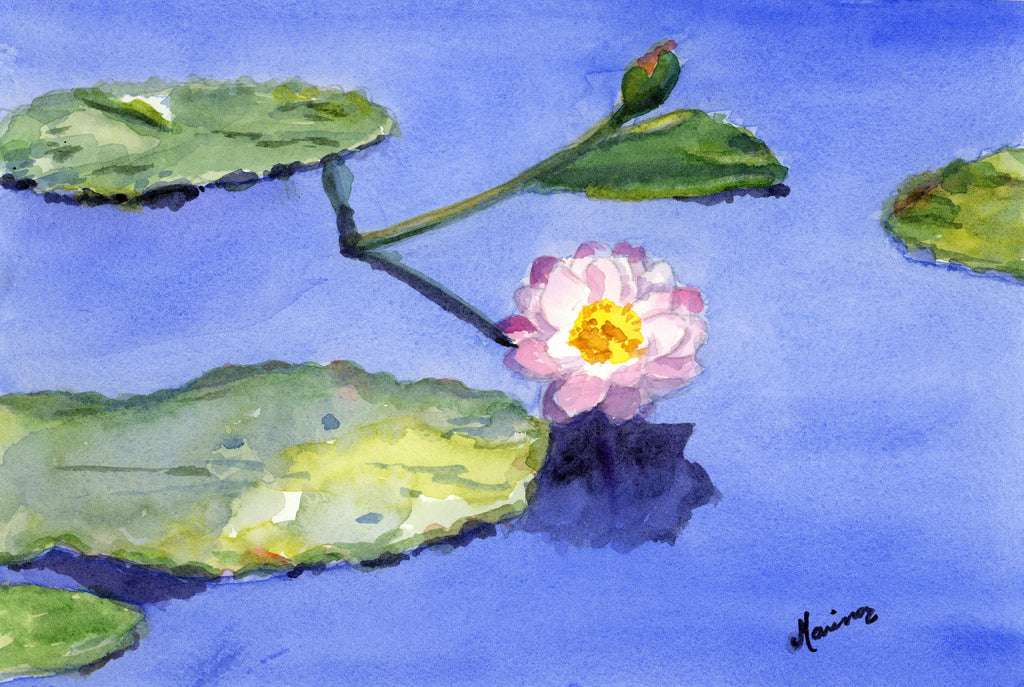 "Water Lily" - Original Watercolor - Marina's Watercolors