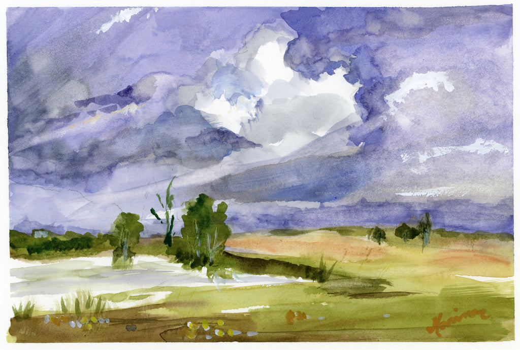 "Stormy Skies"